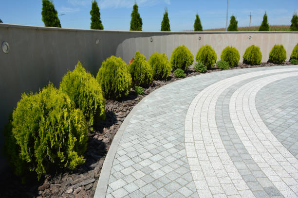Best Driveway Pavers Near Me  in Celina, TN